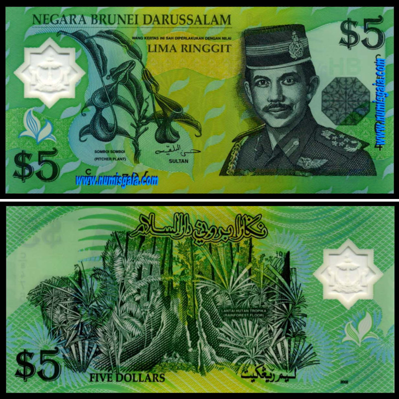 Brunei BRN5(1996)d - 5 DOLLARS 1996
