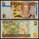 Fiji FJI5(2007-11ND)g - 5 DOLLARS 2007-11ND